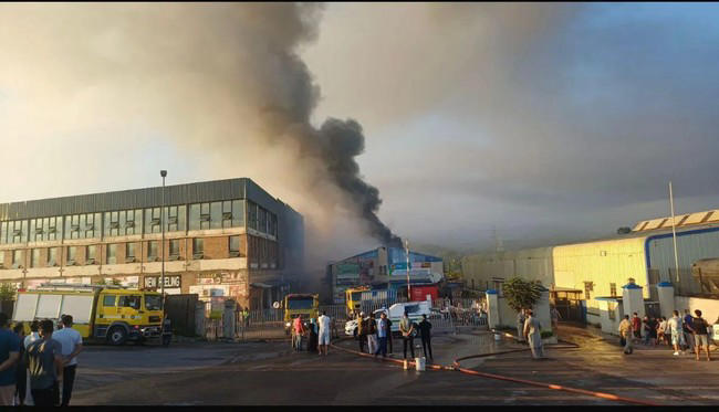 Firefighters battle massive blaze at Springfield China Mall, 12 shops ...
