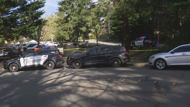 Man charged with murder after Bellevue hit-and-run, two other hit-and ...