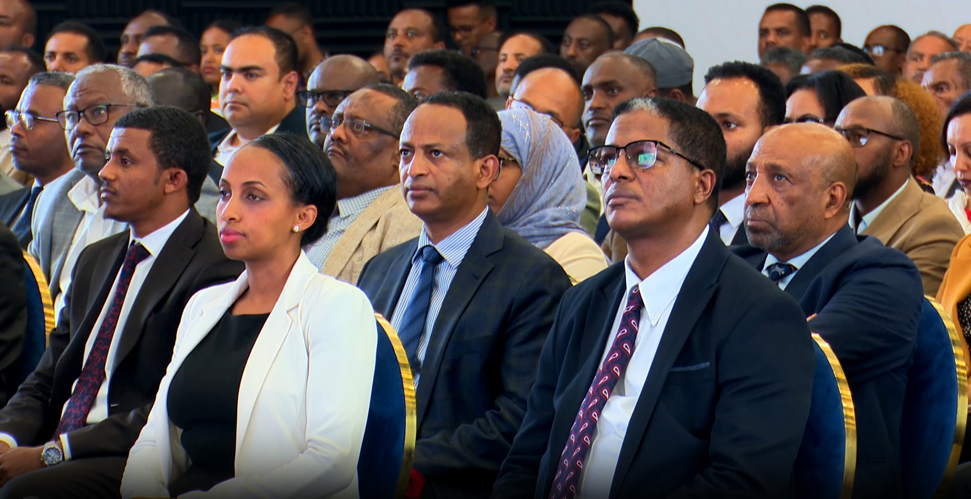 Civil society organizations irreplaceable partners, says Democratic ...