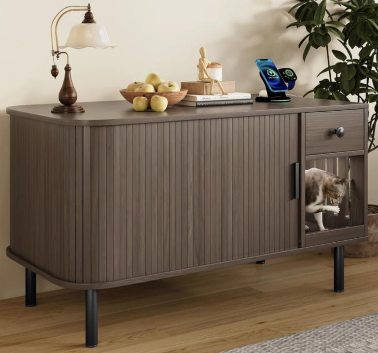 Transform your cat's litter box into chic furniture with this stylish ...
