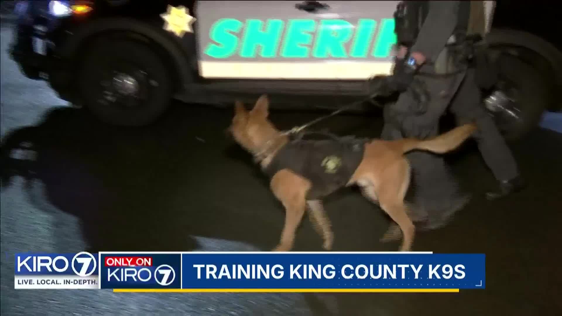 KIRO 7 gets exclusive invite to KCSO K-9 training simulation