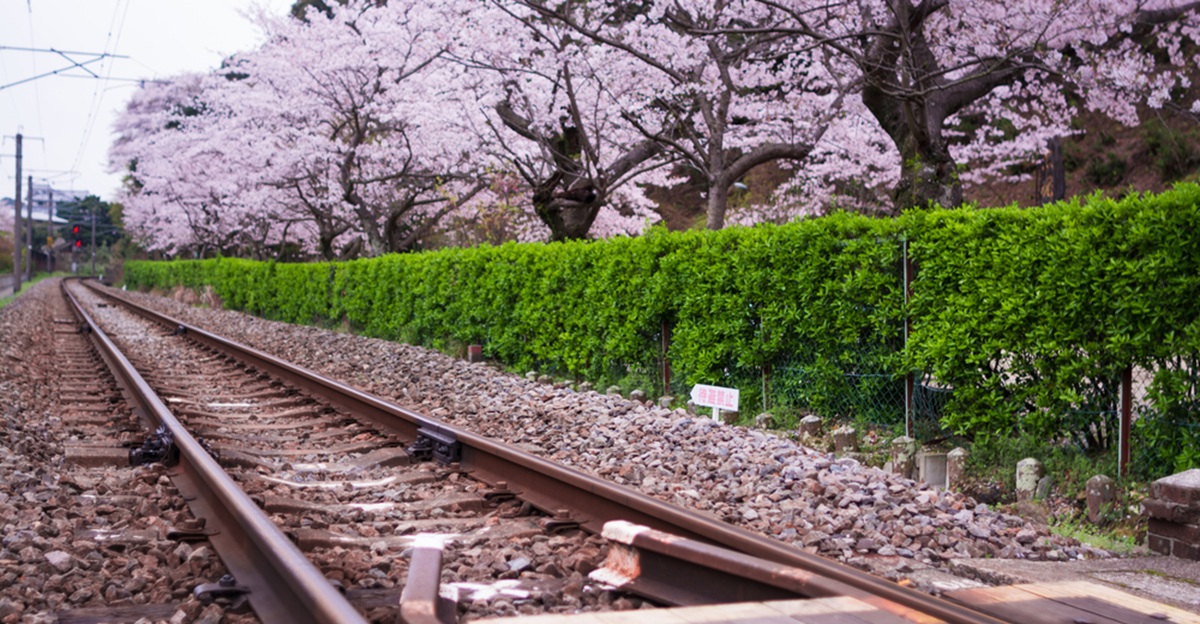 15 spring train rides and scenic rail trips in the US