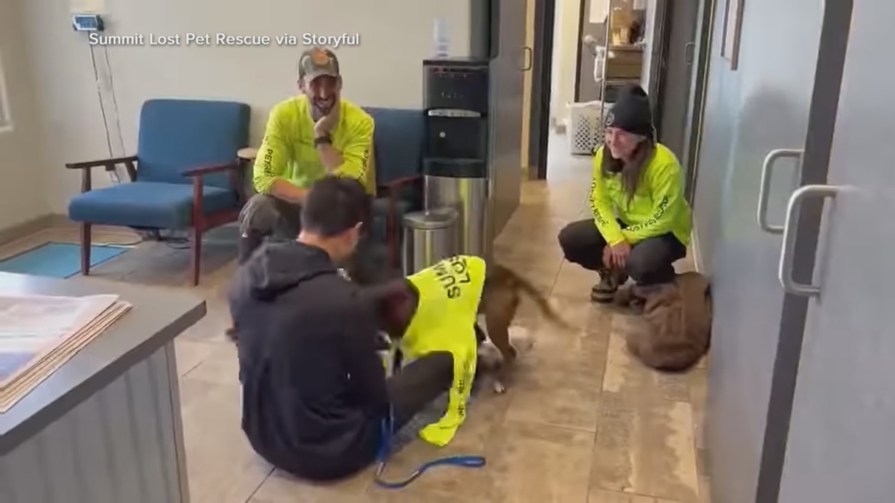 Rocky the dog reunited with owner