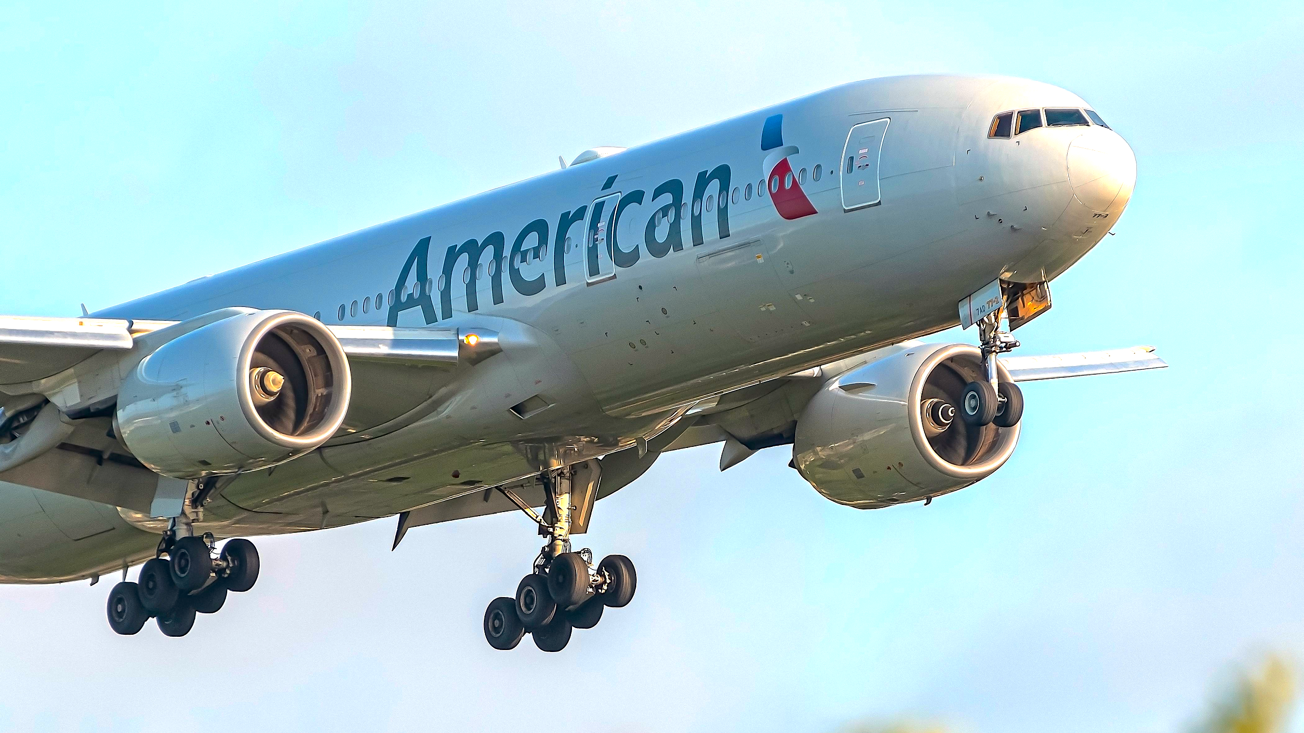 American Airlines passengers offer sympathy to first-class customer's ...