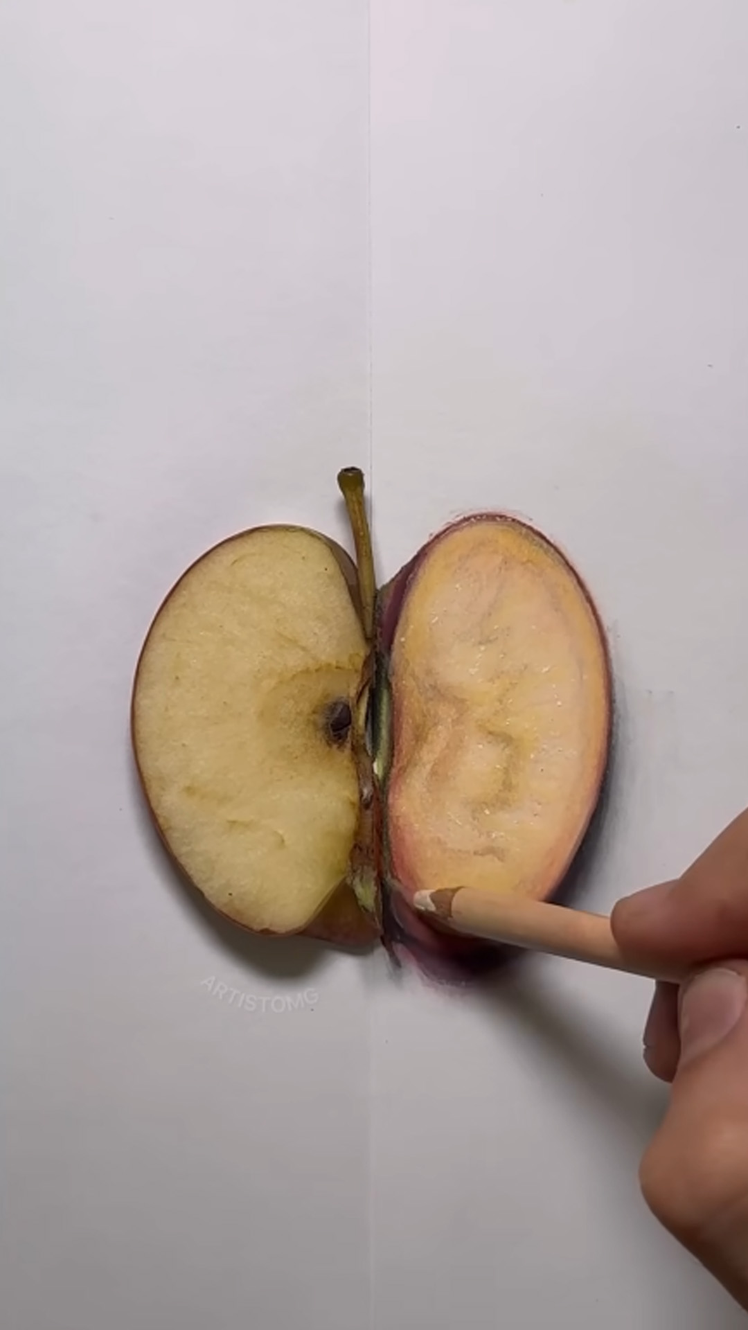 Learn the realistic apple slice drawing method