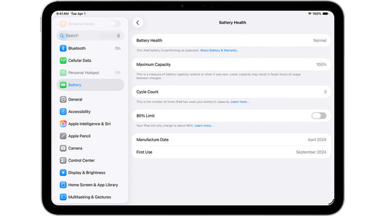 Is your iPad slowing down? Learn how to check its battery health before ...