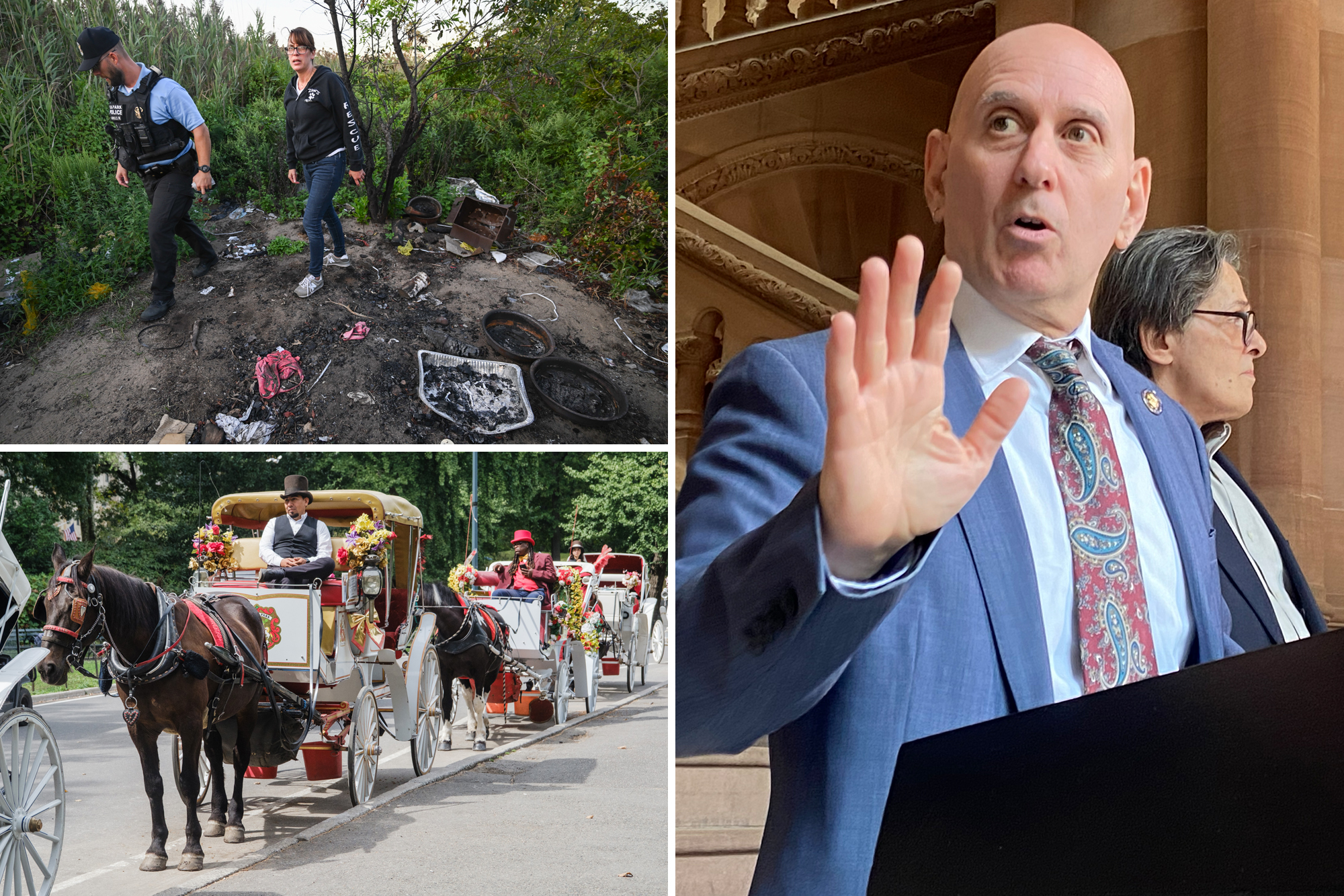 New NYC Council caucus must crack down on animal sacrifices after ...