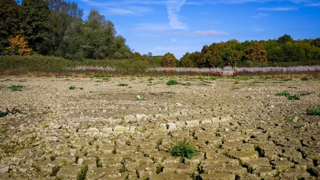 The silent death of the Ogallala: What happens when the High Plains run dry