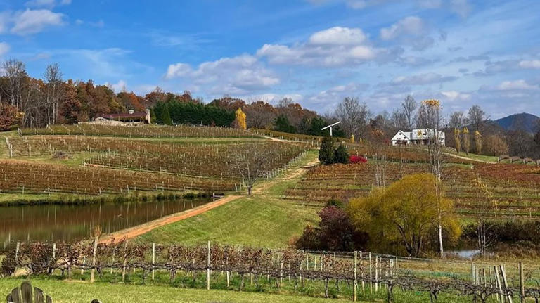 The Blue Ridge Mountains' 5 most beautiful wineries to visit for ...