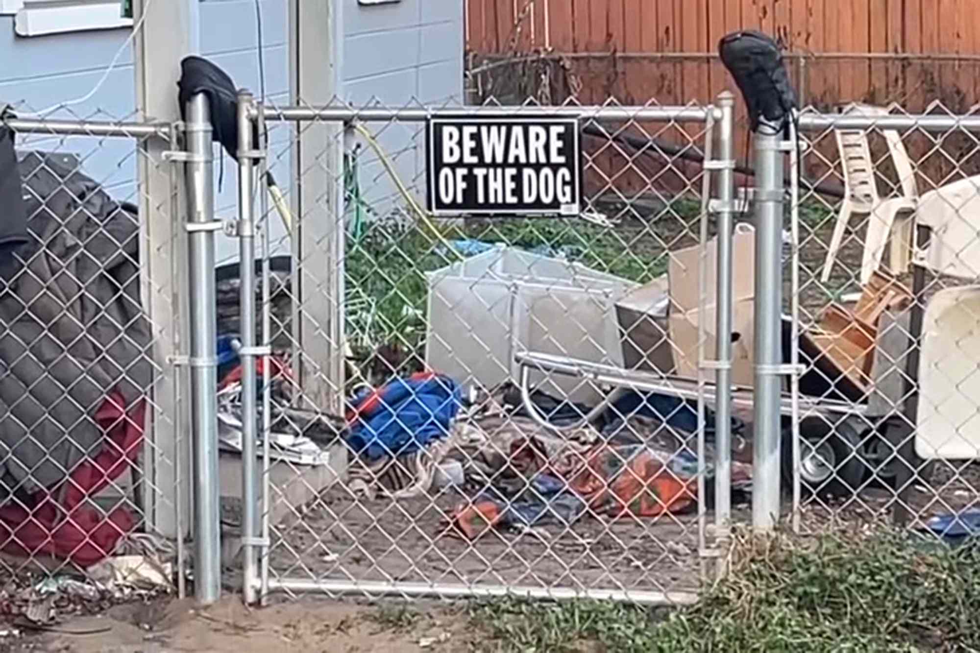 Woman critically injured after 7 'terrifying' dogs attacked her in ...