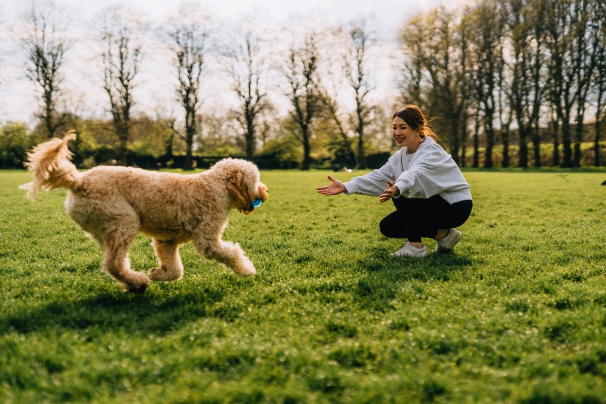 7 signs you have a strong bond with your dog