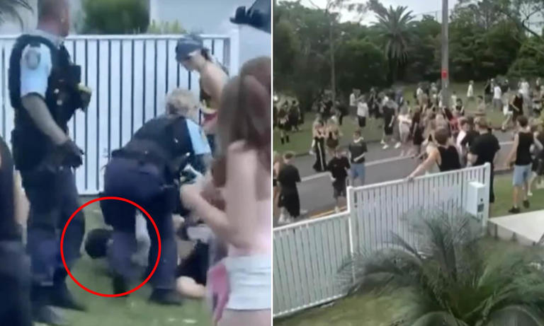 Chaos as 500 teenagers gatecrash party as riot squad and police ...
