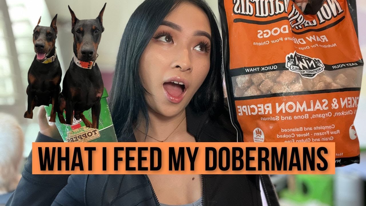 Raw food recipes keep active Dobermans in peak condition