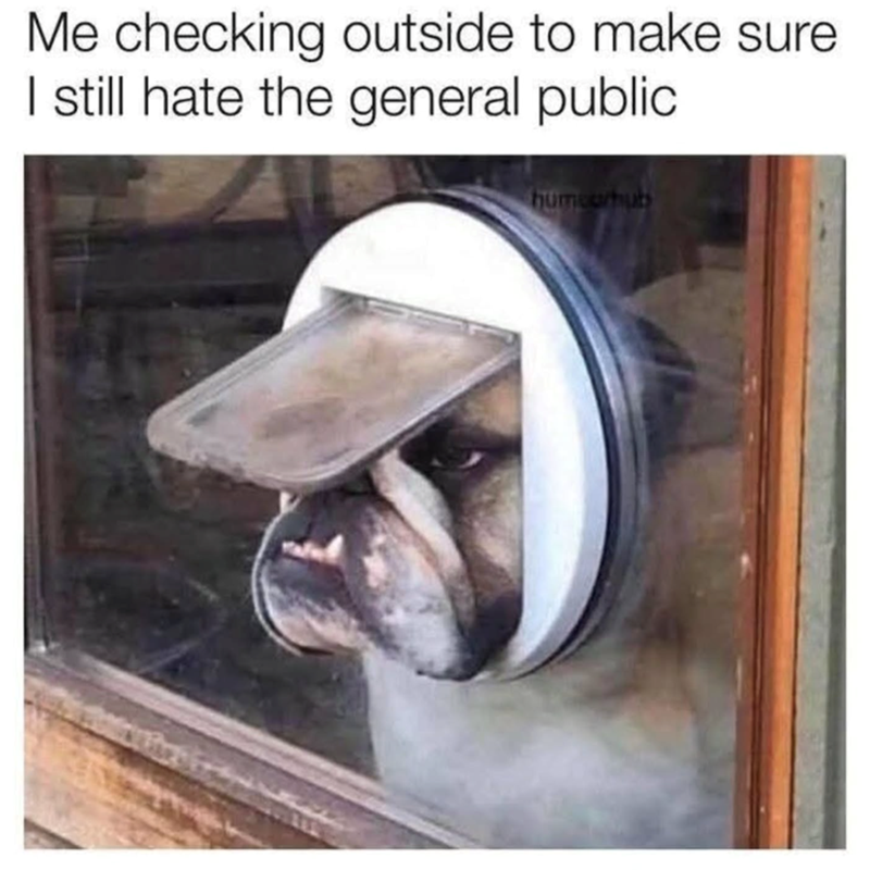 21 heartwarming dog memes for your morning cup of pawsitivity (March 7 ...