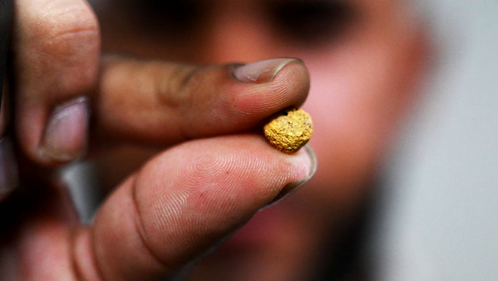 How Colombia's drug cartels make more from gold than cocaine