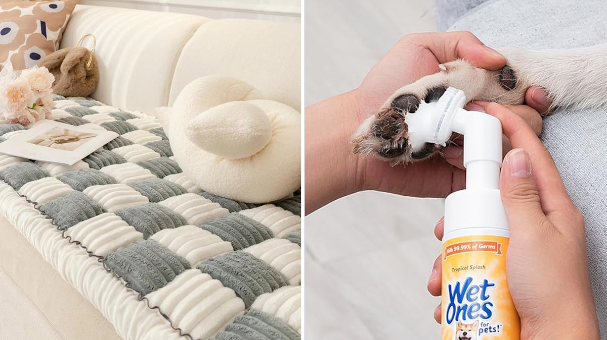 If your dog is a pain in the butt, these clever things are life-changing