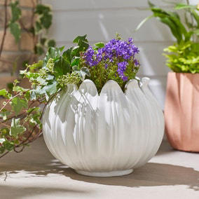 Habitat just dropped the prettiest frilly plant pots
