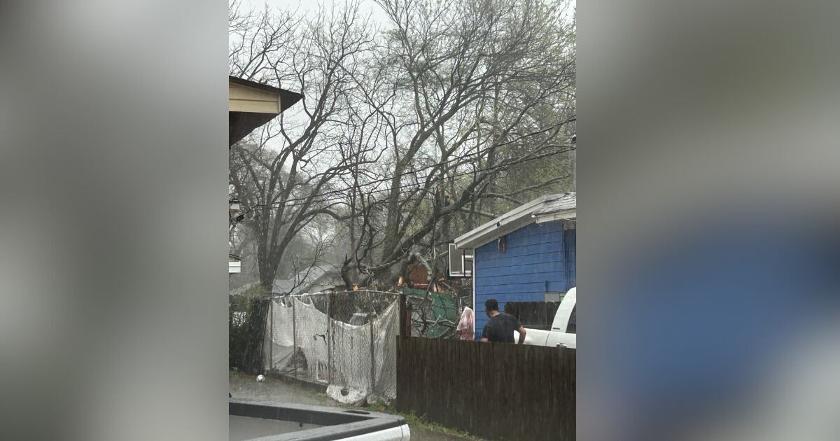 Woman found dead after tree falls on her during severe storms