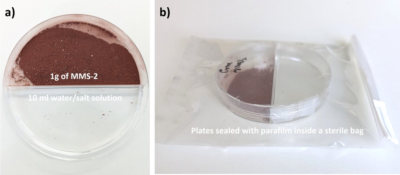 Can we grow life on Mars? Experiments show potential in simulated ...