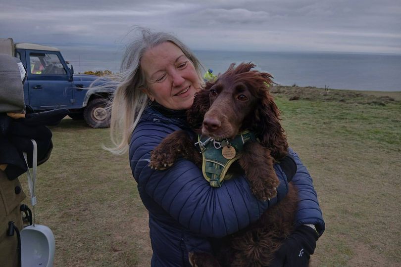 Dog rescued after dramatic cliff fall on Jurassic Coast