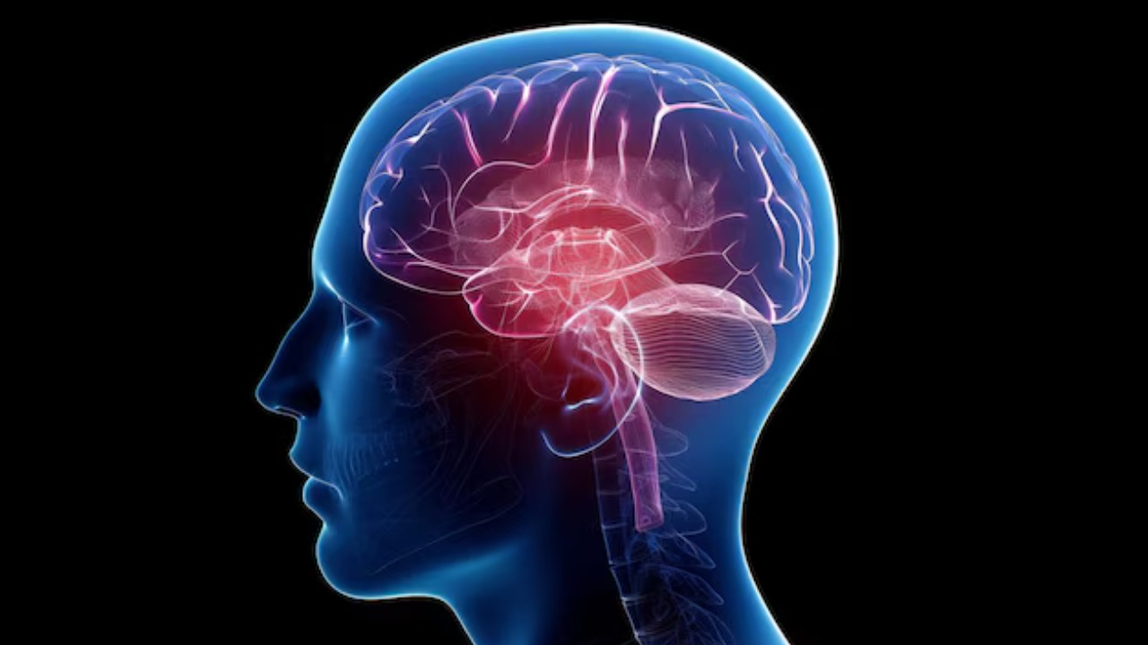 Is hidden inflammation triggering Alzheimer’s and how do you stop it?