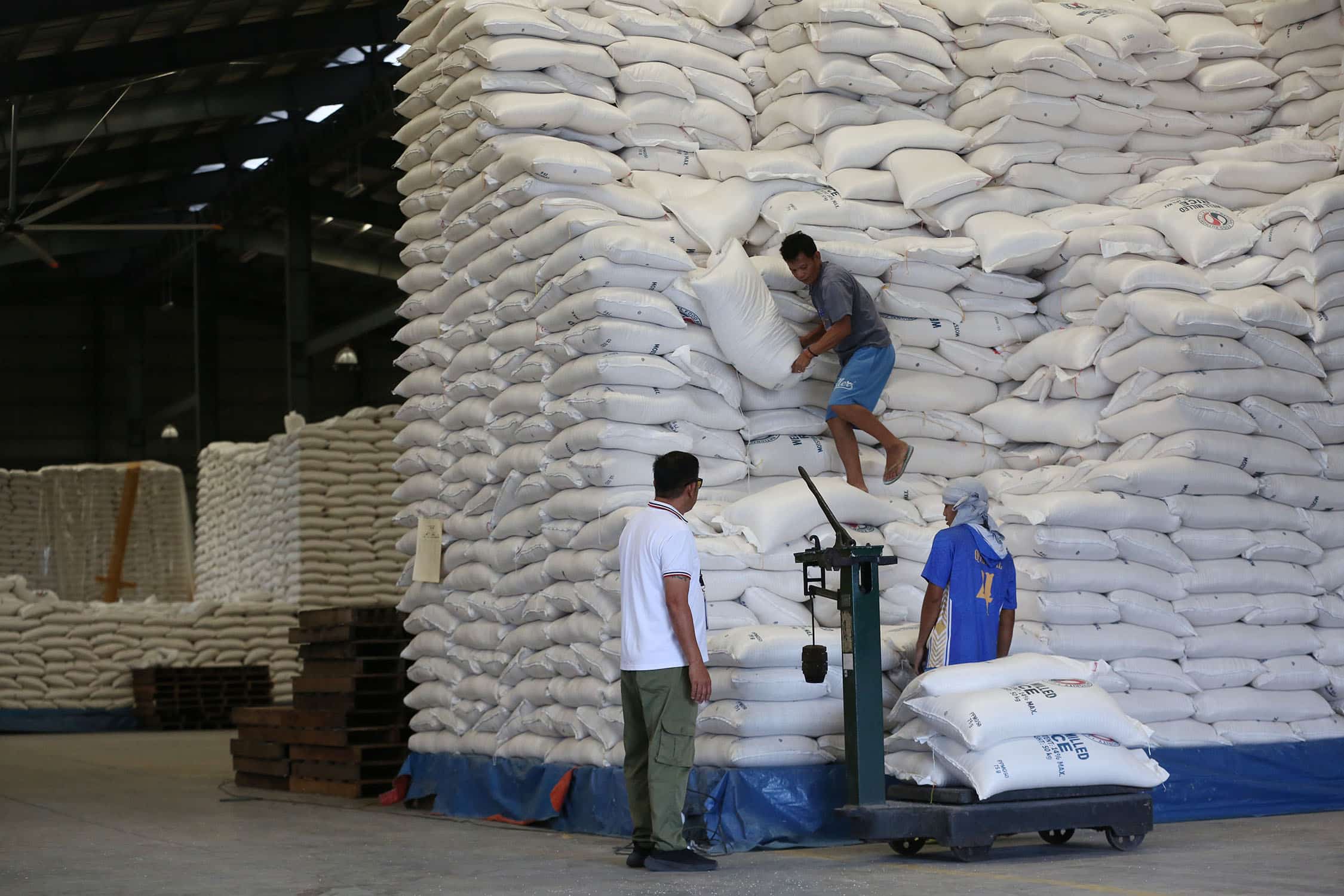 Global rice prices start to increase
