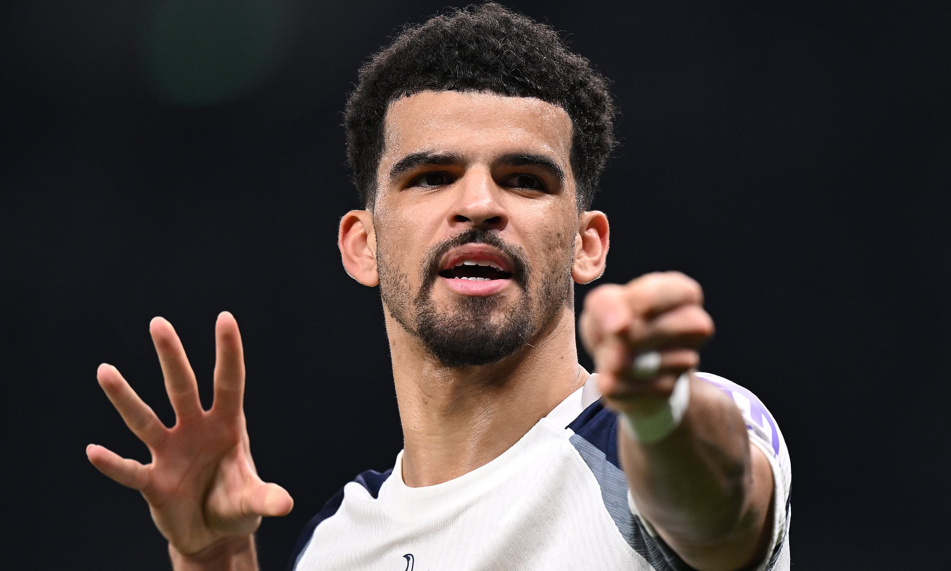 Newcastle target summer move for Tottenham striker Dominic Solanke