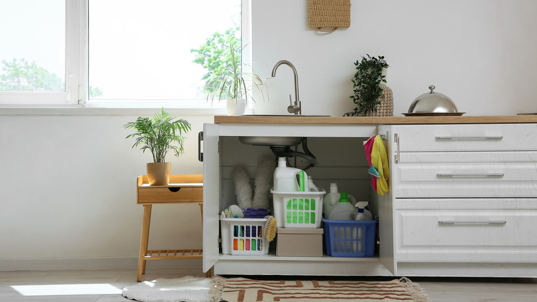 The safety reason you should avoid storing cleaning supplies under your ...