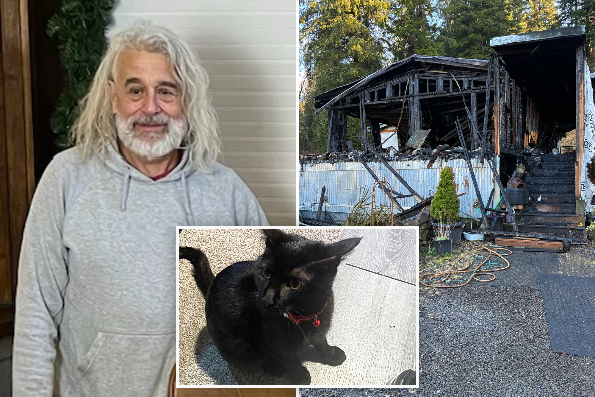 Loyal kitty sacrifices own life to save sleeping owner from house fire ...