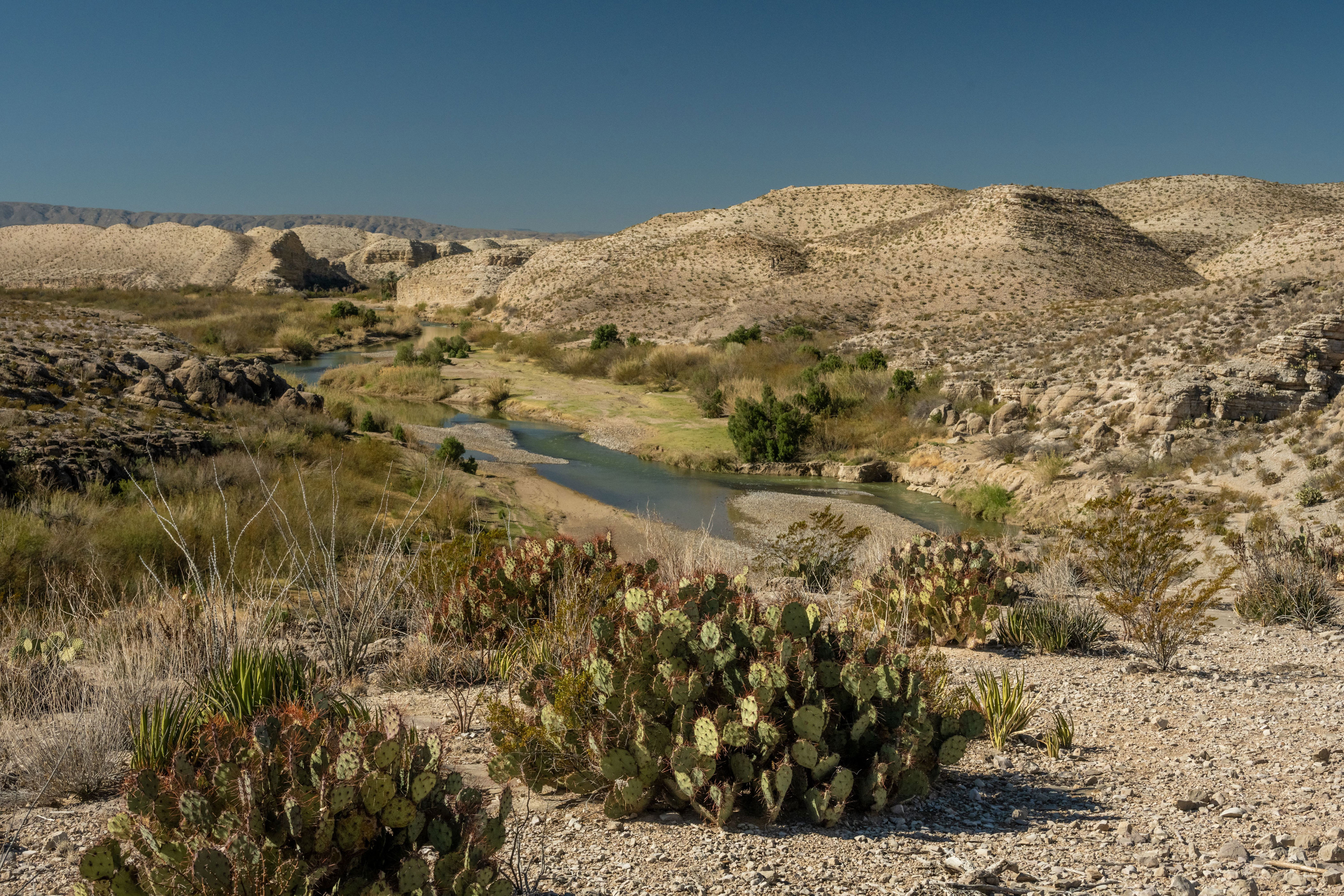 Major national park defeats US Customs and Border Protection's plan to ...