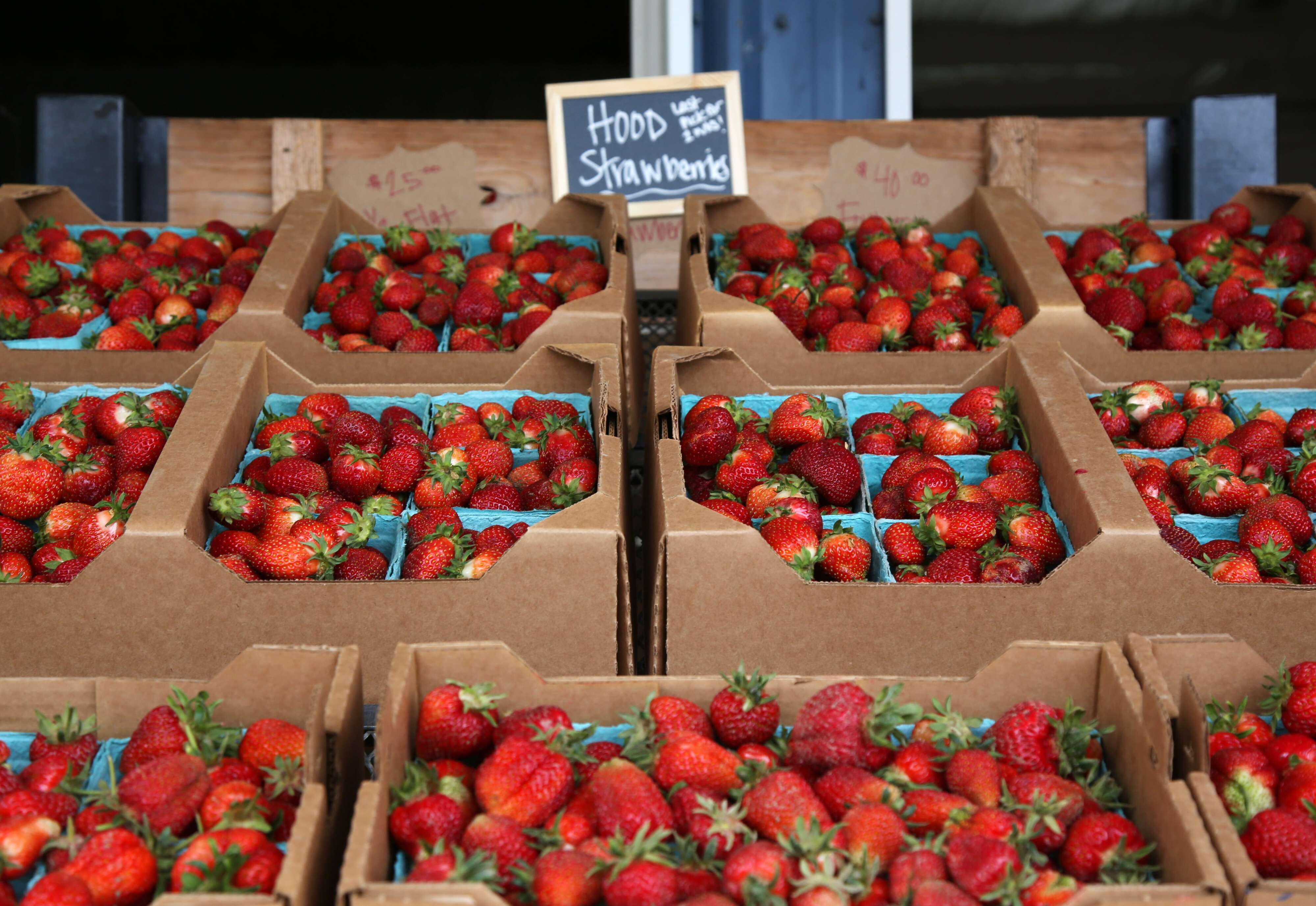 Oregon farmers celebrate passage of 'farm store' bill that loosens ...