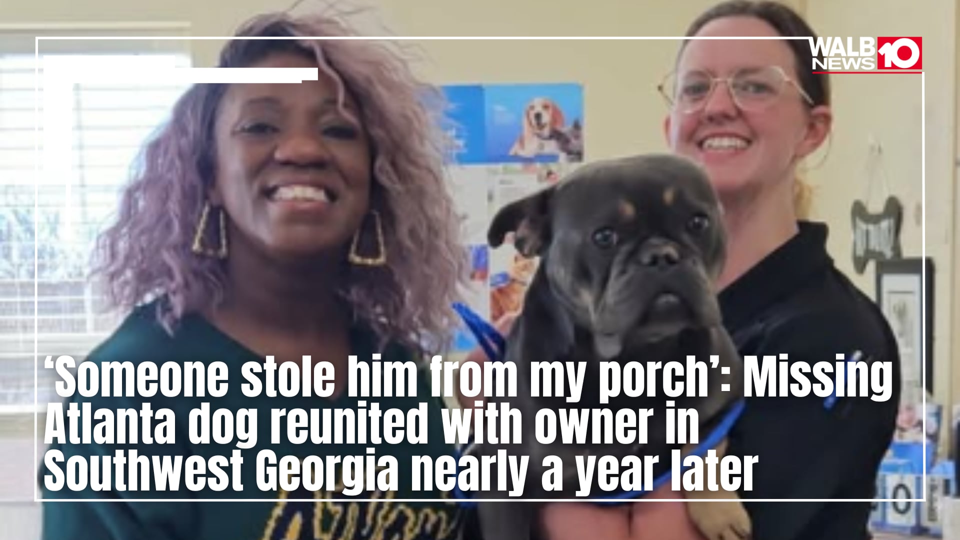 Missing Atlanta dog reunited with owner in southwest Georgia nearly a ...