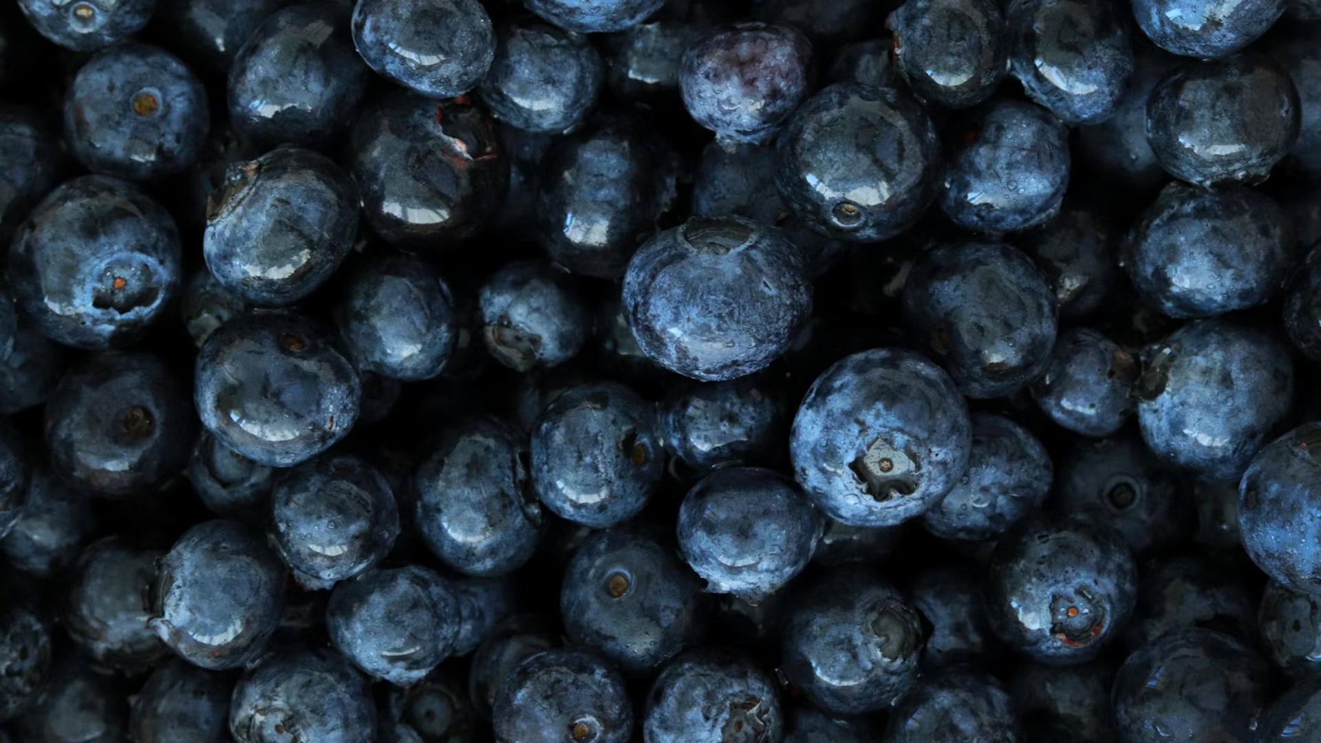 60,000 pounds of frozen blueberries recalled nationwide under FDA's ...