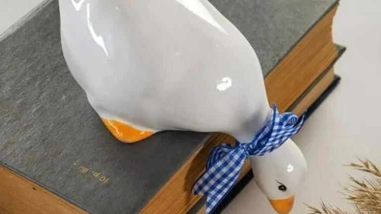 10 Goose-Themed Home Décor That Are Perfect For Adding A Touch Of ...