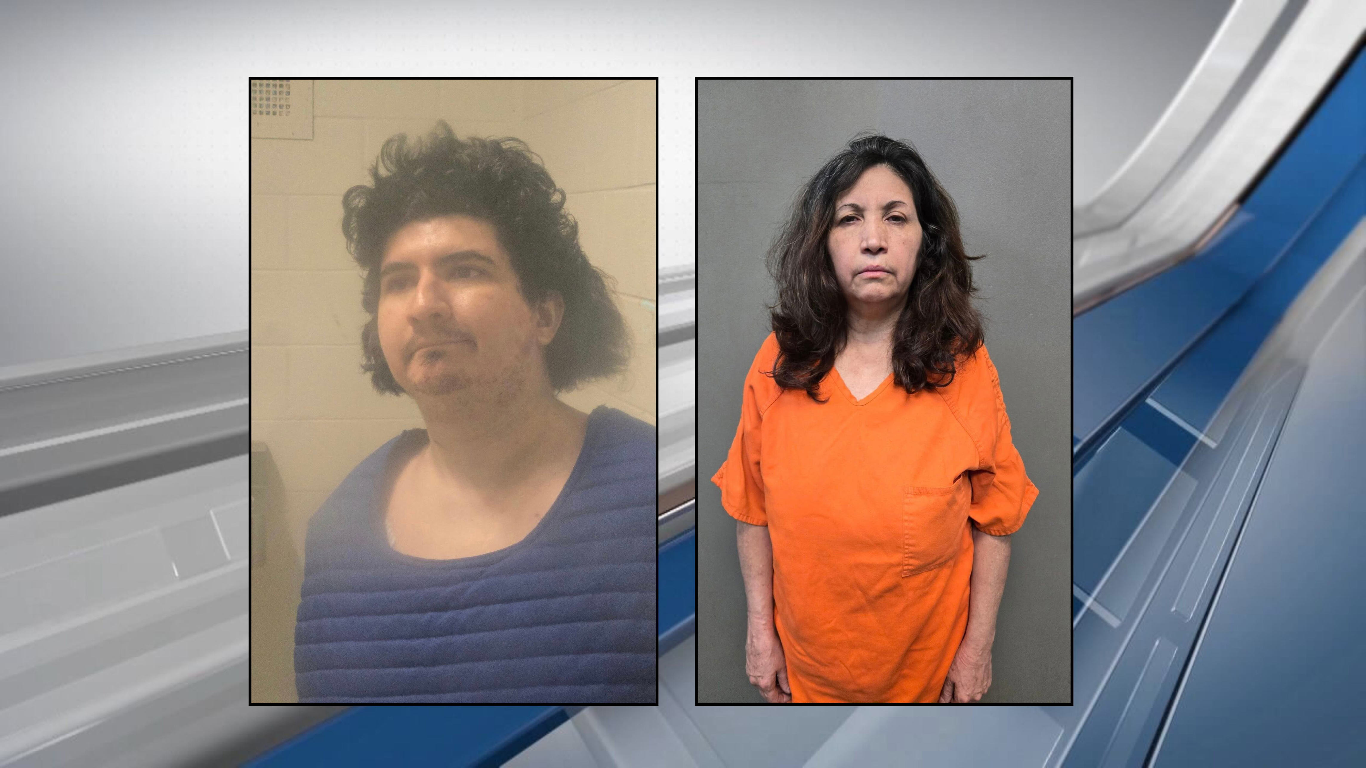 Jasper man arrested after approaching deputies with garden tool ...