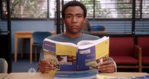 From dystopias to historical fictions: Nine immersive books to get lost in