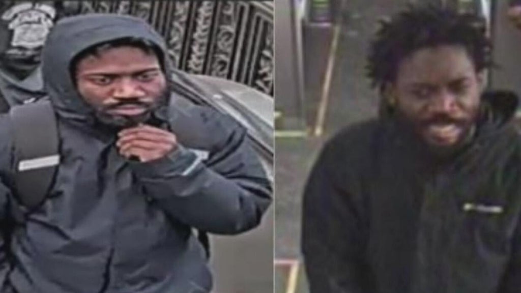 Man sought in February CTA Red Line train robbery, attempted robbery