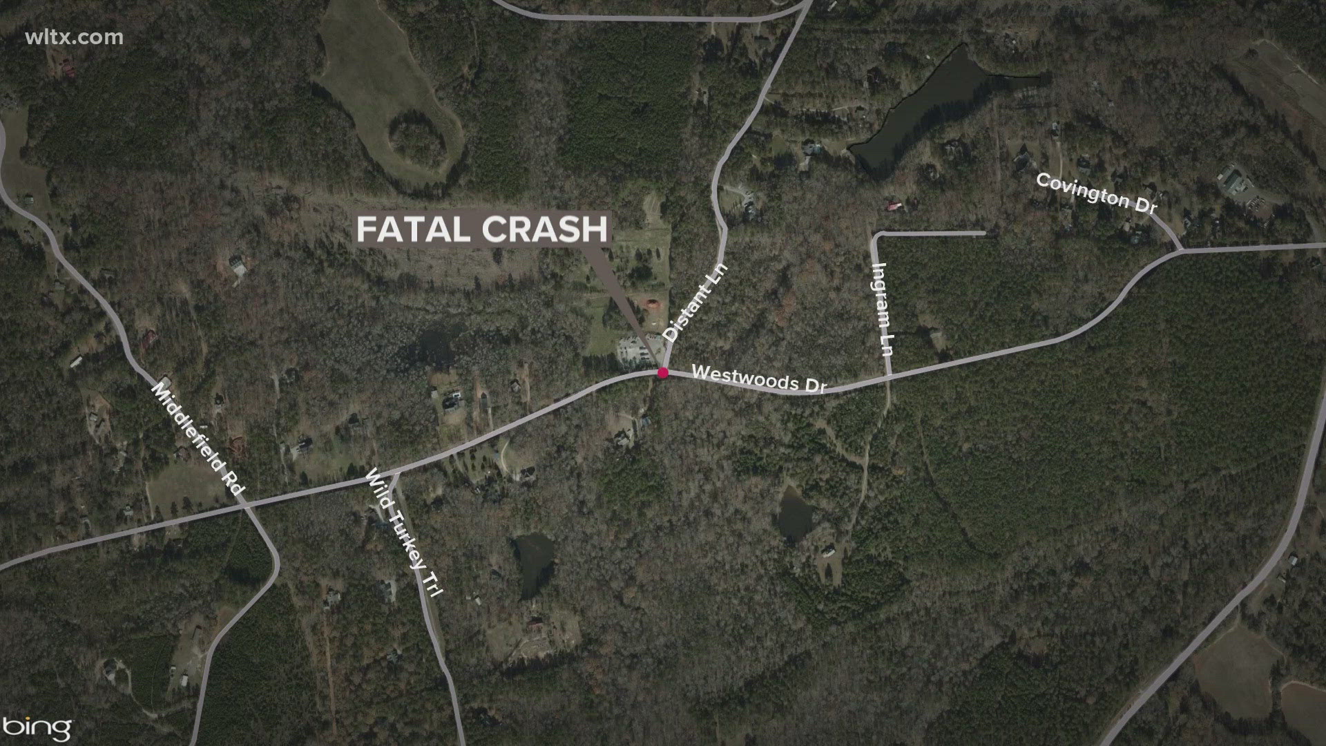Driver dies after truck runs off road, hits tree in Lexington County ...