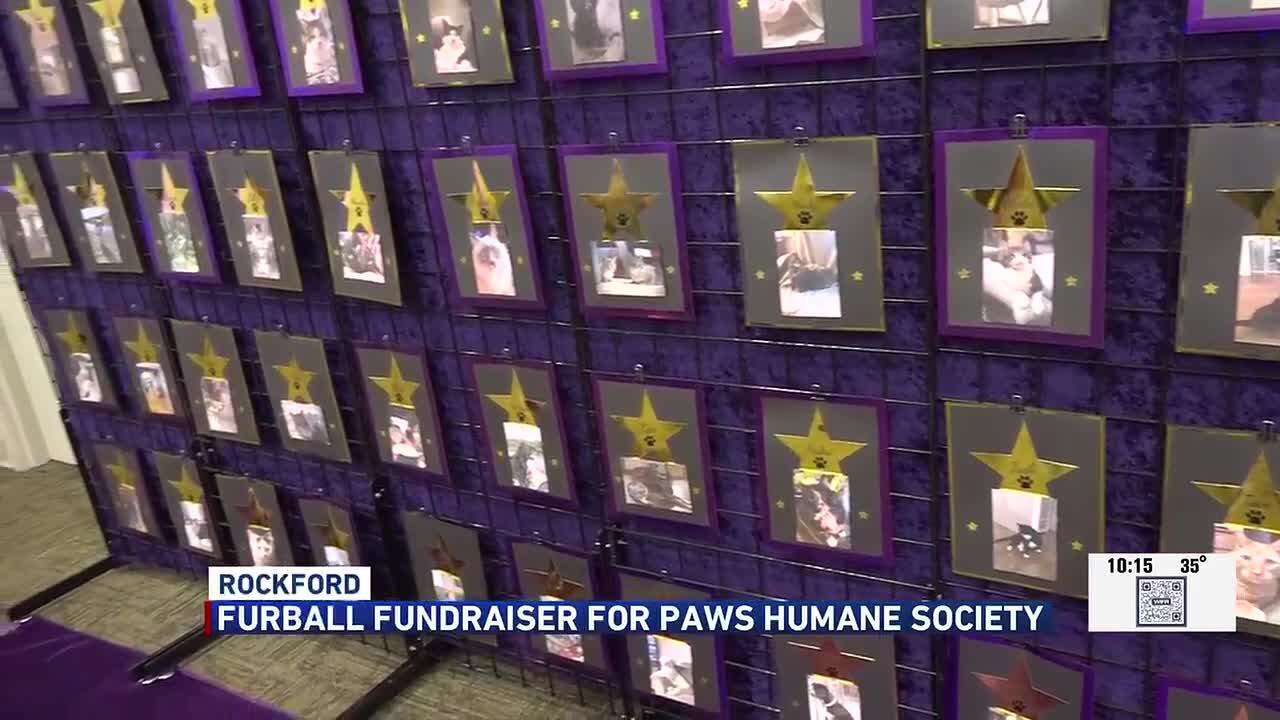 PAWS Humane Society fundraises for our furry friends