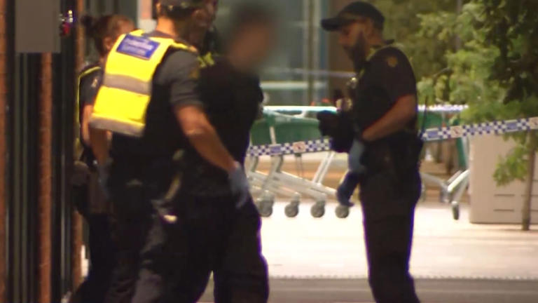 Hero security guard took off protective vest hours before deadly stabbing