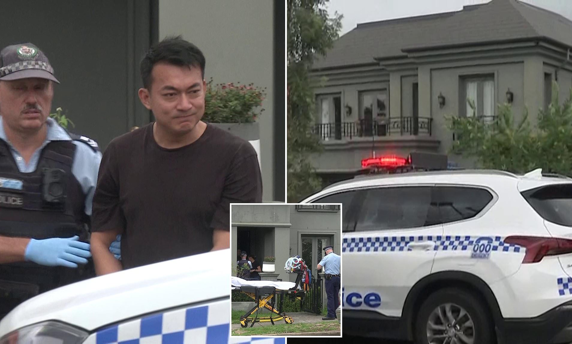 Man allegedly stabbed to death at Inner West Sydney home after argument ...