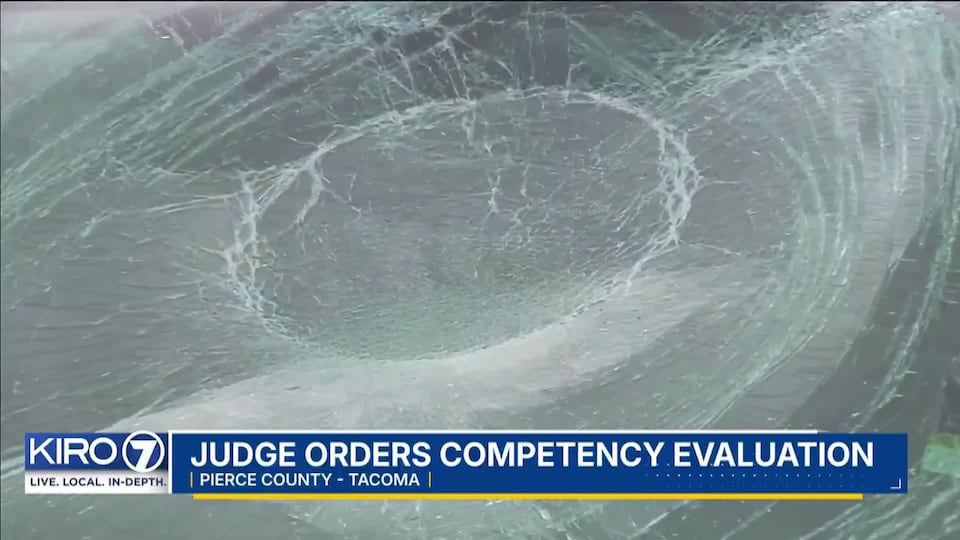Video: Judge orders competency hearing for man accused of vandalizing ...