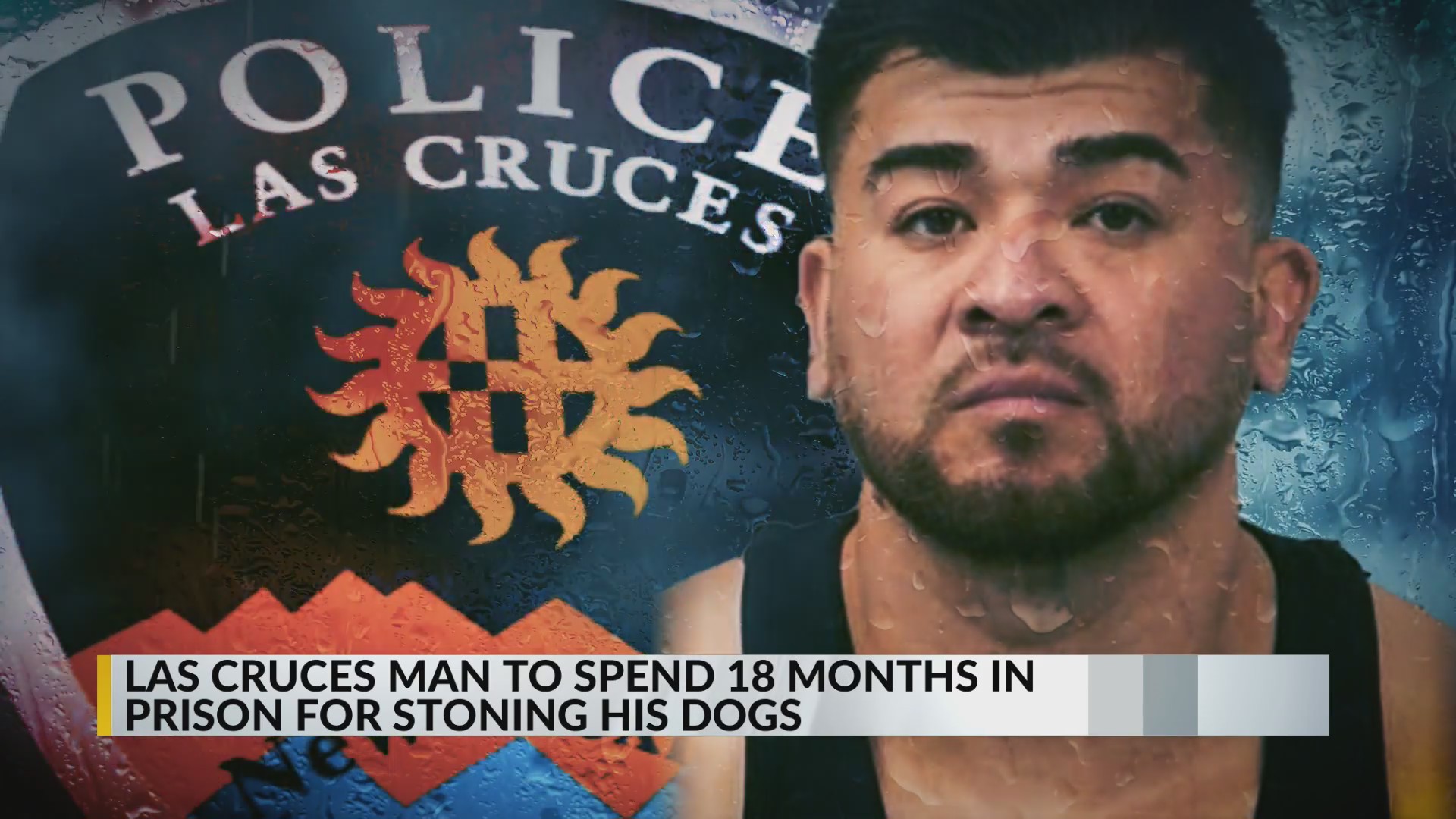 Convicted Las Cruces dog abuser receives sentence