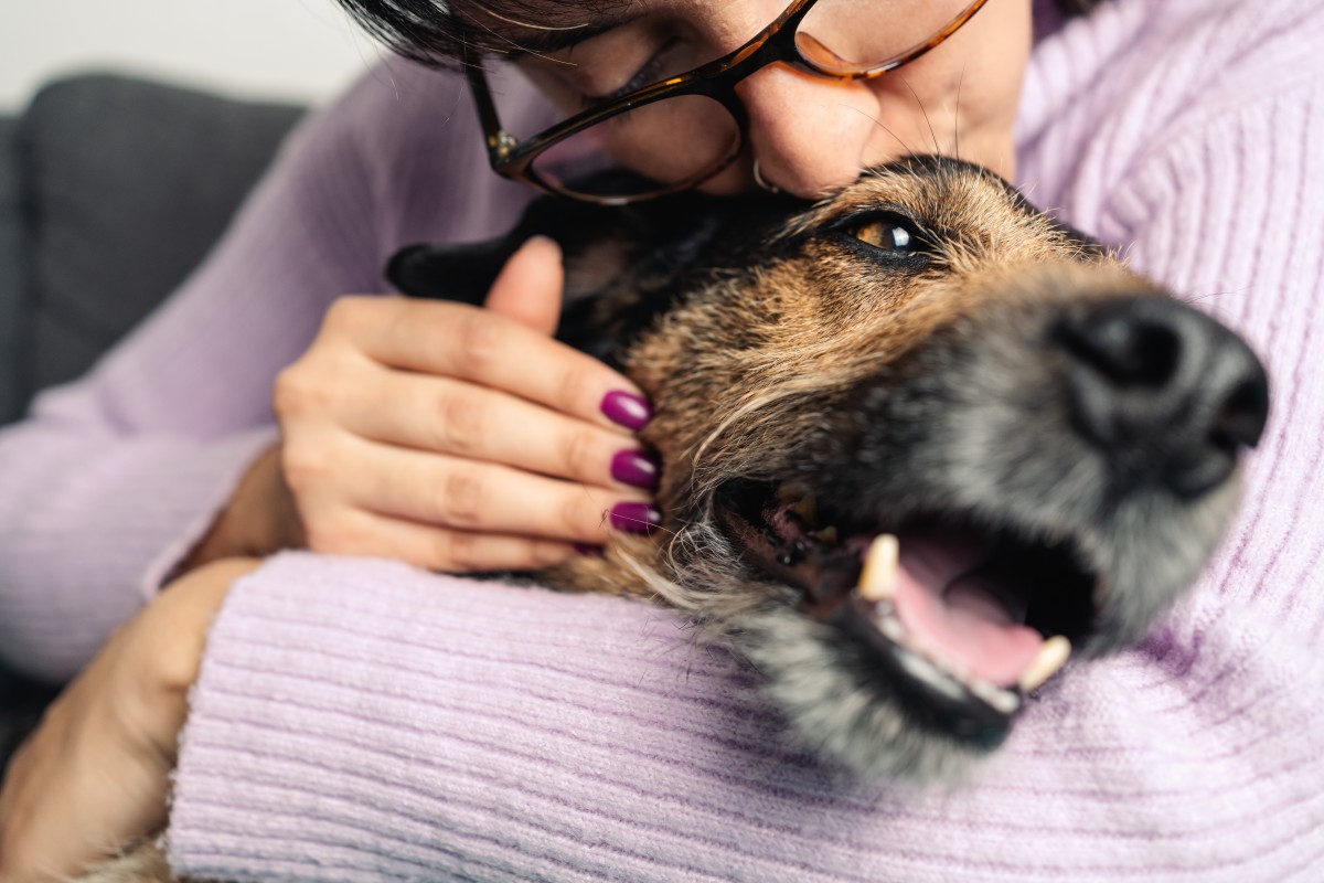 Watch 11-year-old dog Rocky reunite with family after 43 days apart