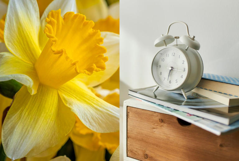 What and when is the spring equinox - and when the clocks go forward ...