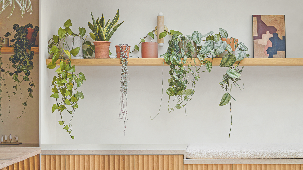These 6 pretty colourful plant pots from Primark will make your ...