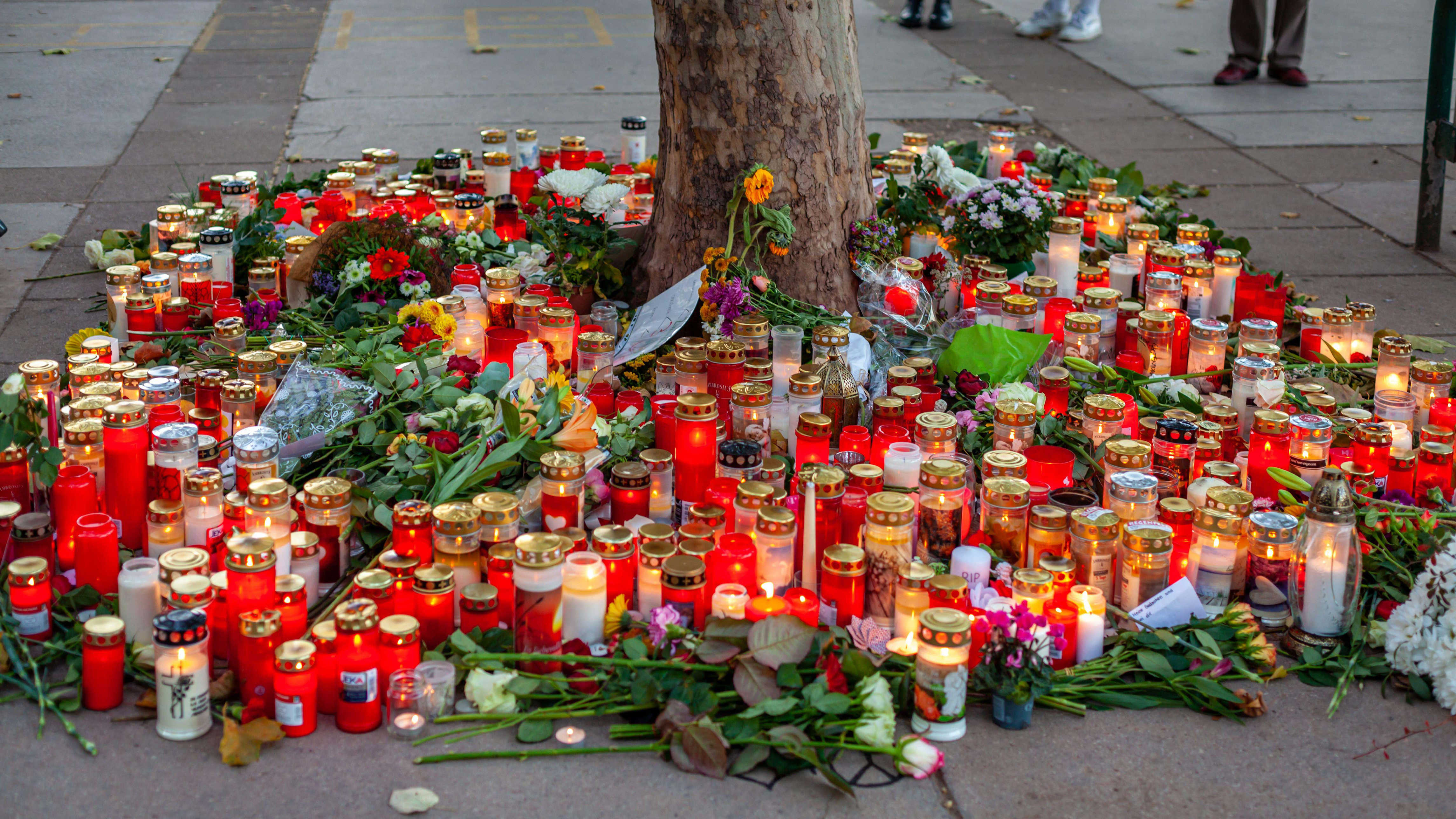 European Day of Remembrance for terror victims to be marked at Westminster