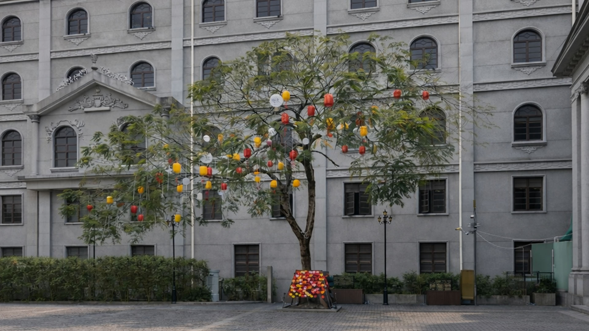 Lantern decorations change the look of this tree in China
