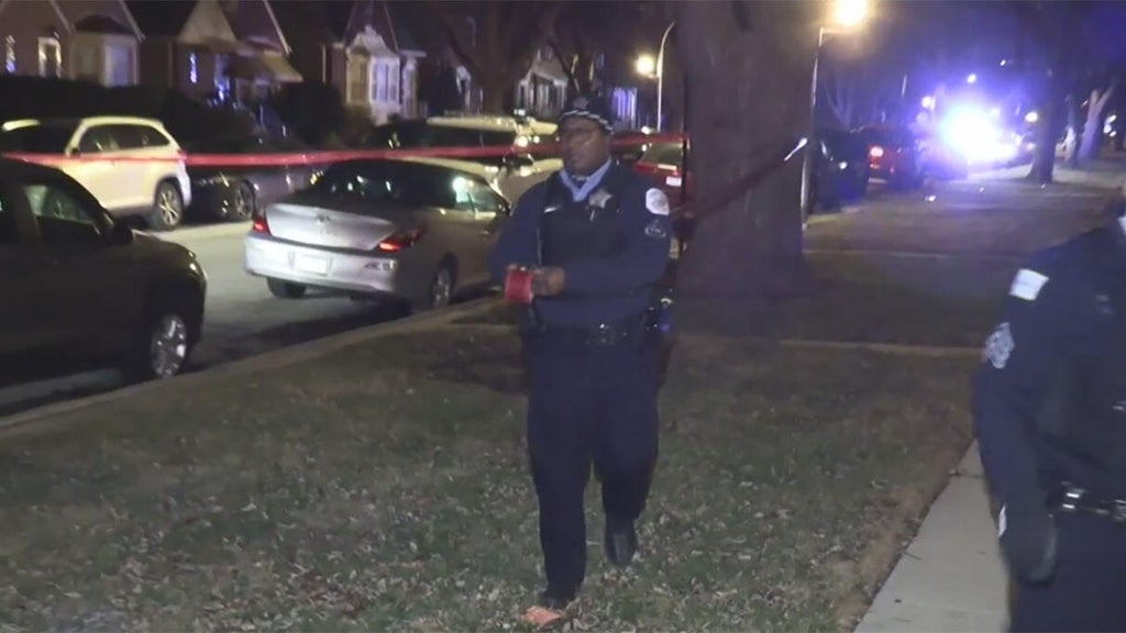 2 women, ages 68 and 71, shot and killed on Chicago's Far South Side ...