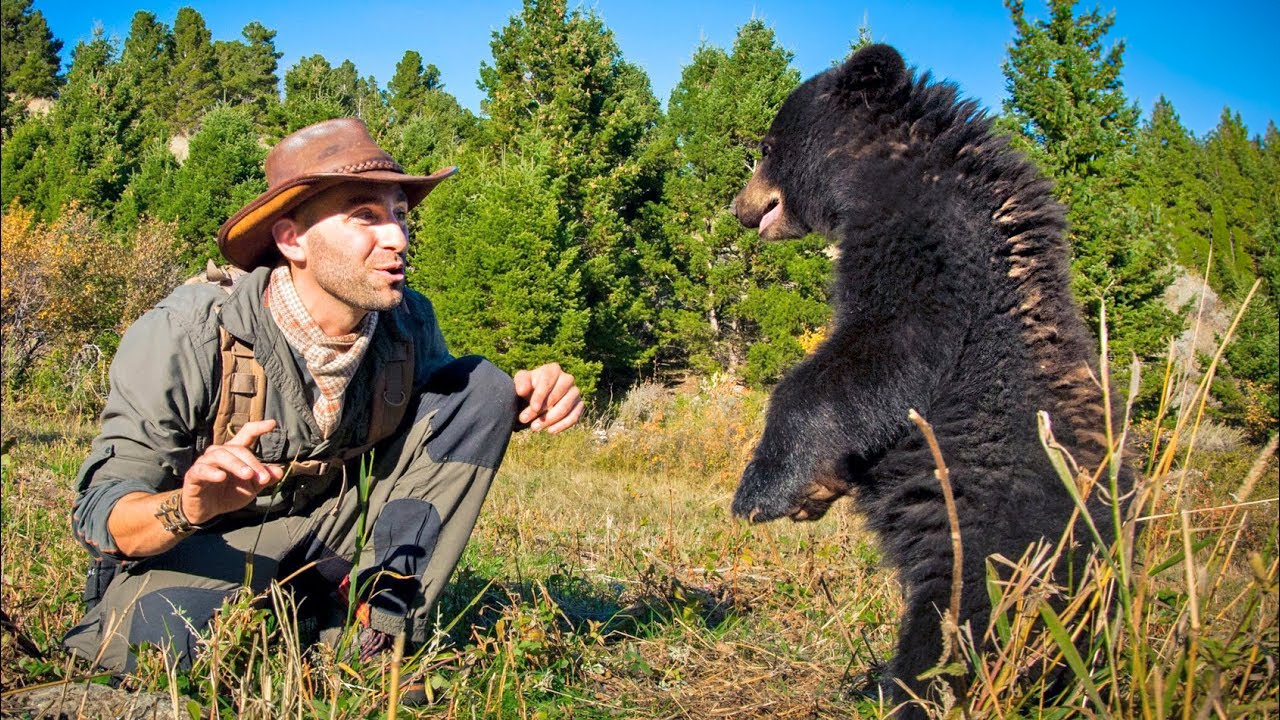 Coyote Peterson discovers a baby bear's playful side